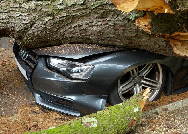How to Safely React to Sudden Obstacles on the Road