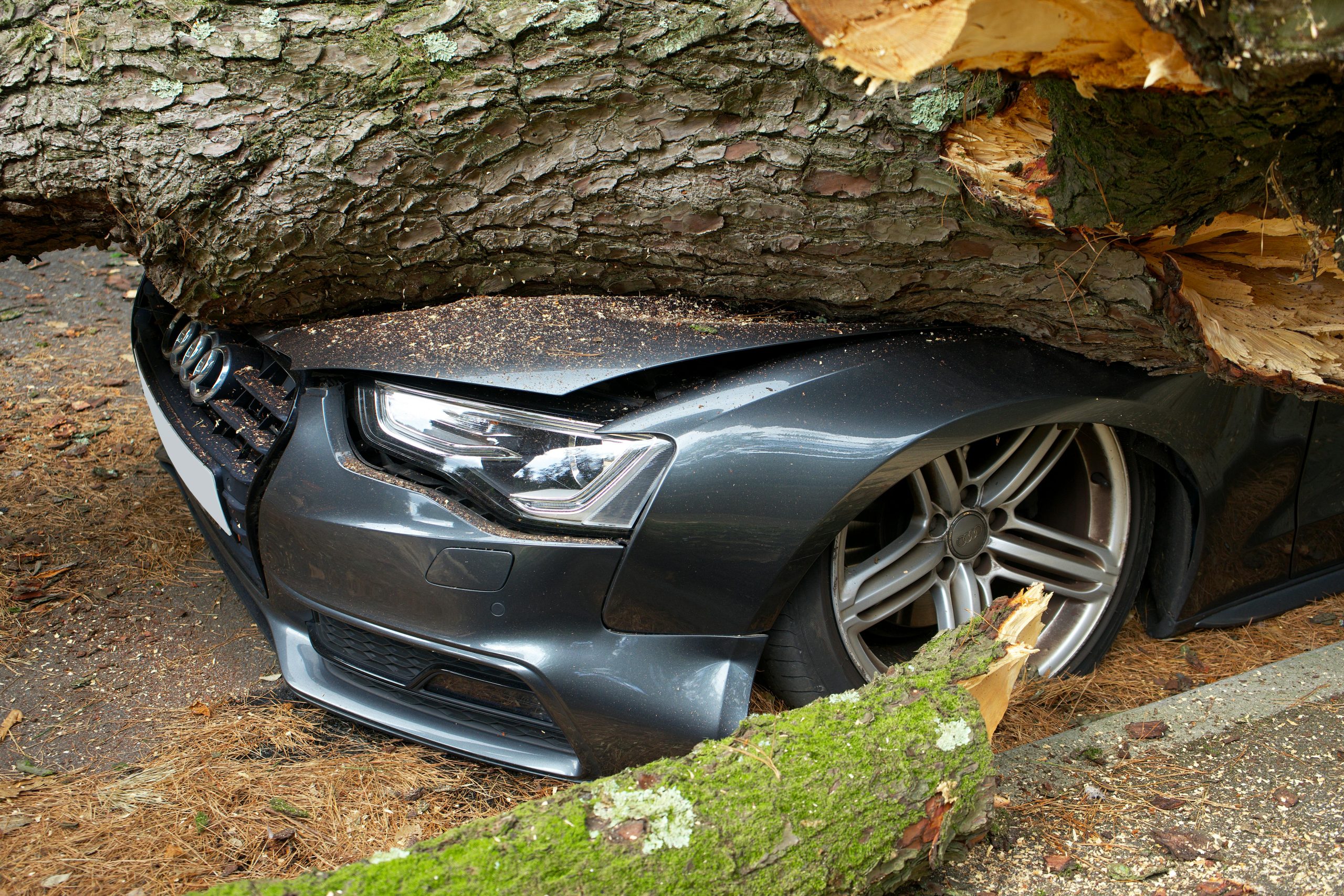 How to Safely React to Sudden Obstacles on the Road